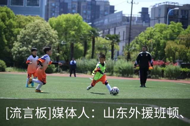 [流言板]媒体人：山东外援班顿、阿方索今日落地济南，三外援集齐
